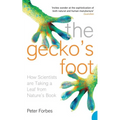 The Gecko's Foot: How Scientists are Taking a Leaf from Nature's Book