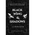 Black Wing and Shadows: Book One of the Sandorg Chronicles