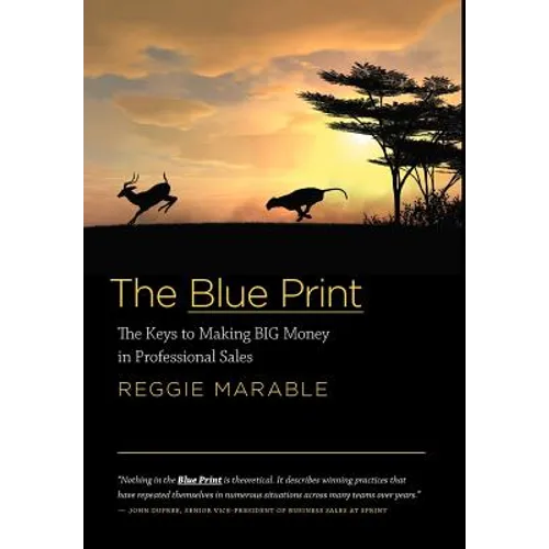 The Blue Print: The Keys to Making BIG Money in Professional Sales