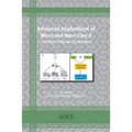 Advanced Applications of Micro and Nano Clay II: Synthetic Polymer Composites