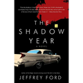 The Shadow Year