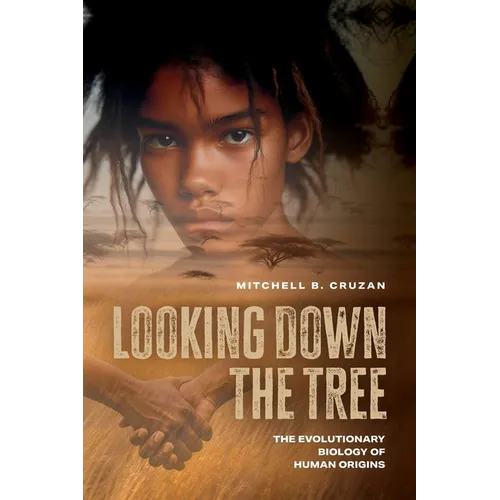 Looking Down the Tree: The Evolutionary Biology of Human Origins