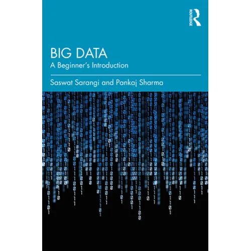Big Data: A Beginner's Introduction