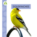 Goldfinches