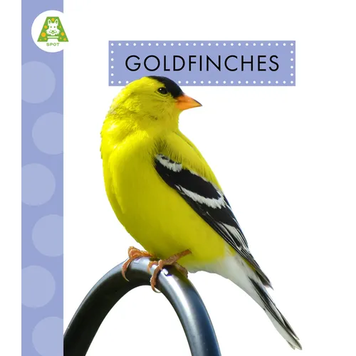 Goldfinches