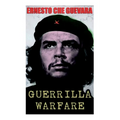 Guerrilla Warfare