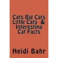Cats Big Cats Little Cats & Interesting Cat Facts: Cats Big Cats Little Cats & Interesting Cat Facts