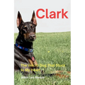 Clark: The Velcro Dog That Stuck to My Heart