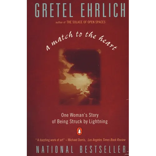 A Match to the Heart: One Woman's Story of Being Struck By Lightning