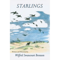 Starlings