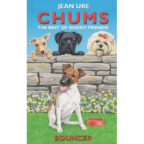 Bouncer
