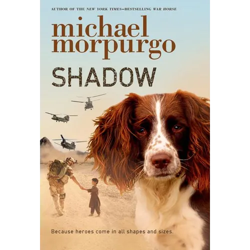 Shadow