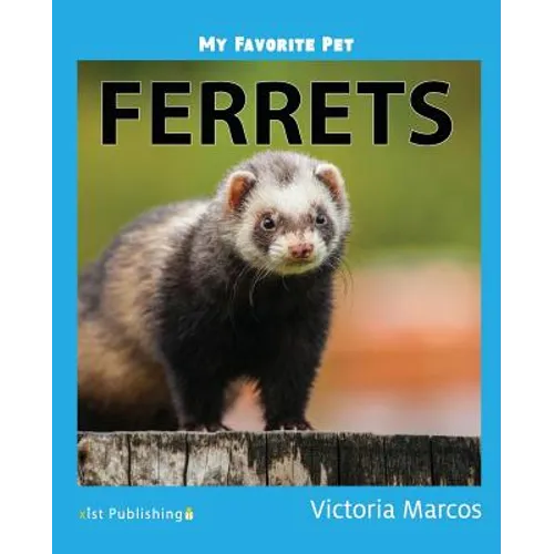 My Favorite Pet: Ferrets