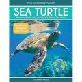 Sea Turtle: Amazing Facts About Nature's Ocean Travelers