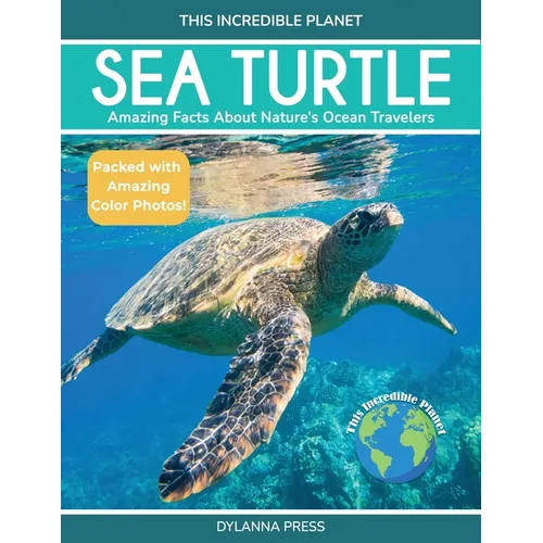 Sea Turtle: Amazing Facts About Nature's Ocean Travelers