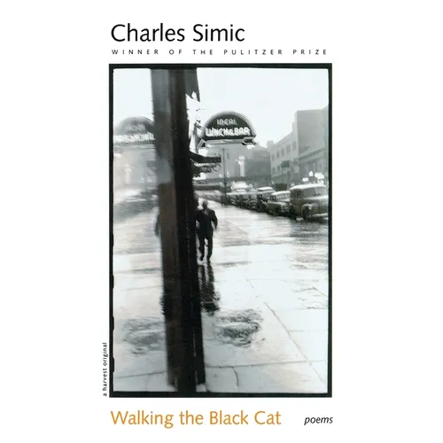 Walking the Black Cat