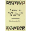 A Guide to Grafting the Grapevine