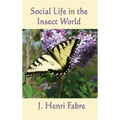 Social Life in the Insect World: Observations on Behavior and Organization in the Insect World
