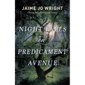 Night Falls on Predicament Avenue