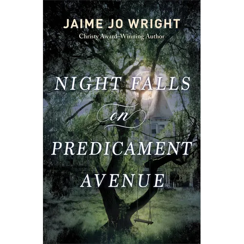 Night Falls on Predicament Avenue