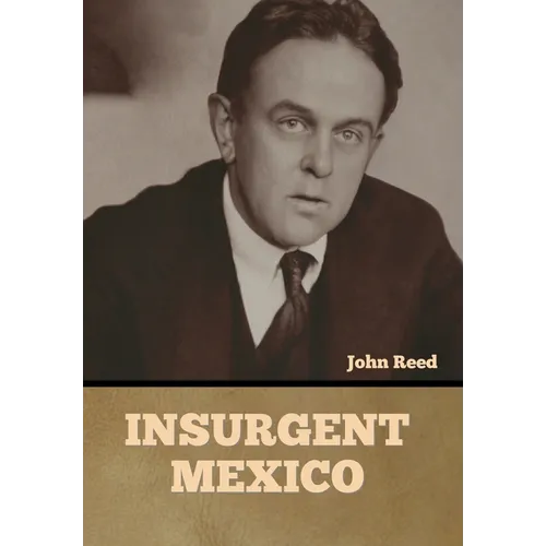 Insurgent Mexico