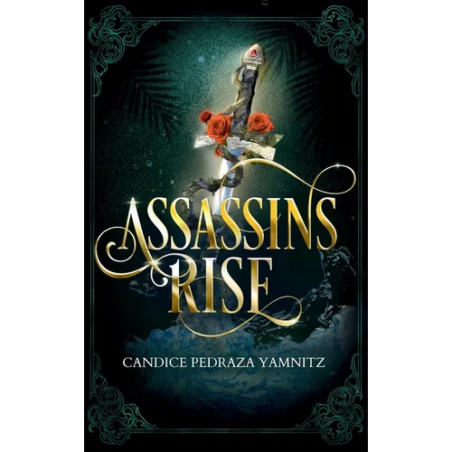 Assassins Rise