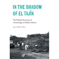 In the Shadow of El Tajín: The Political Economy of Archaeology in Modern Mexico
