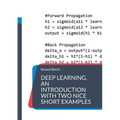 Deep Learning, an introduction with two nice short examples