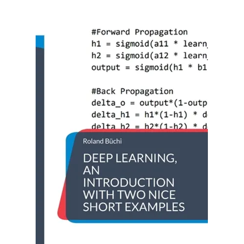 Deep Learning, an introduction with two nice short examples