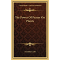 The Power Of Prayer On Plants