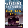 Ghost in Trouble: A Mystery