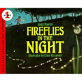 Fireflies in the Night