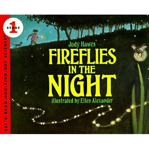 Fireflies in the Night
