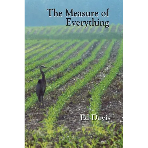 The Measure of Everything