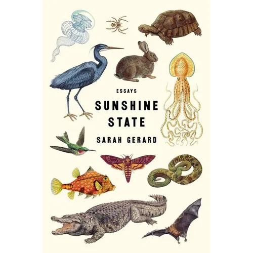 Sunshine State: Essays