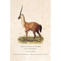 The Natural History of Unicorns