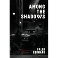 Among the Shadows