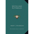 Moths And Butterflies