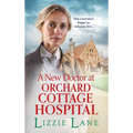 A New Doctor at Orchard Cottage Hospital