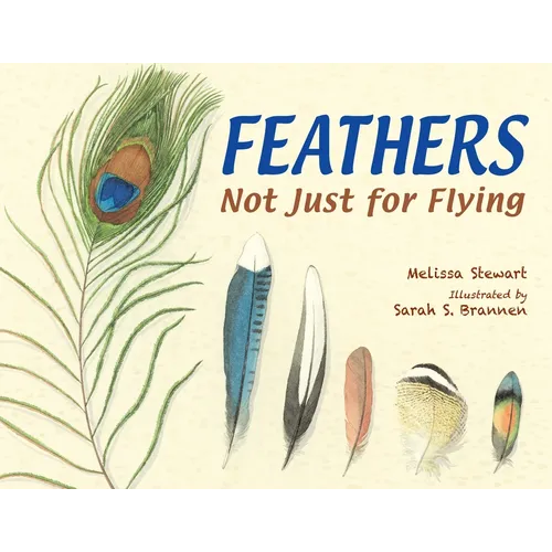 Feathers: Not Just for Flying