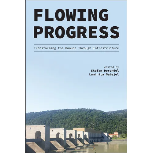 Flowing Progress: Transforming the Danube Through Infrastructure
