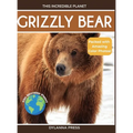 Grizzly Bear: Fascinating Animal Facts for Kids