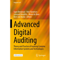 Advanced Digital Auditing: Theory and Practice of Auditing Complex Information Systems and Technologies