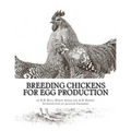 Breeding Chickens For Egg Production