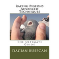 Racing Pigeons Advanced Techniques: The Ultimate Guide