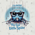The Sad Little Spider
