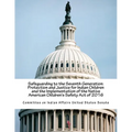 Safeguarding to the Seventh Generation: Protection and Justice for Indian Children and the Implementation of the Native American Children's Safety Act