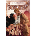 Beneath a Desert Moon