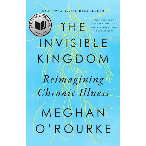 The Invisible Kingdom: Reimagining Chronic Illness