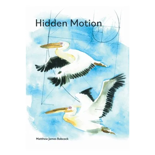 Hidden Motion